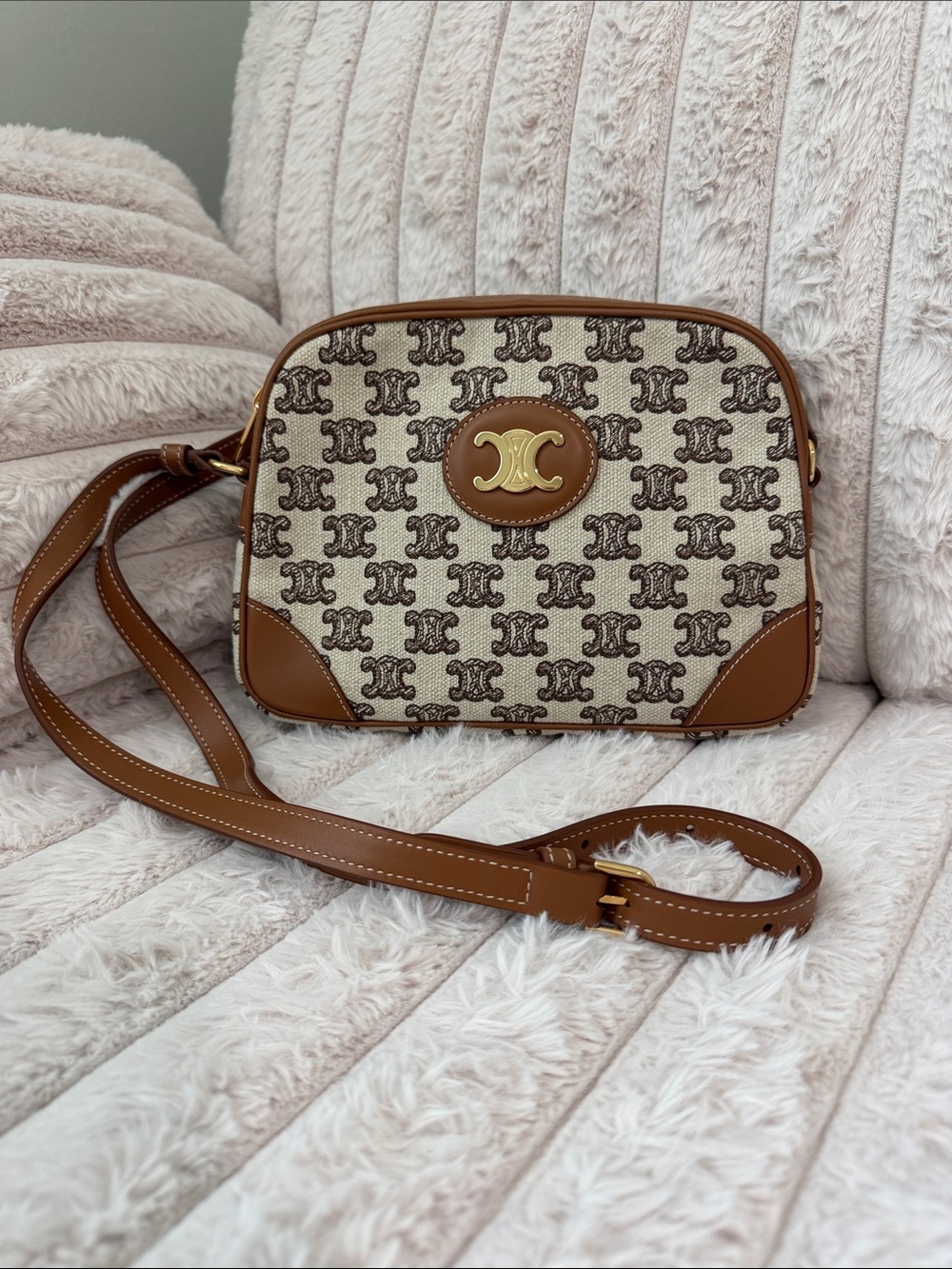 Celine Camera Bag Triomphe Embroidery Calfskin Crossbody Bag in Brown